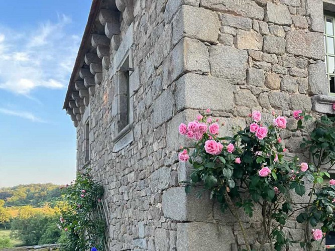 La Maison d Amis 04 ©La Maison d Amis