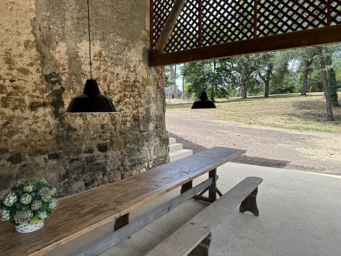 Terrasse du gîte CAMPAGNE MULLER à Uchacq avec Gites de France Landes
