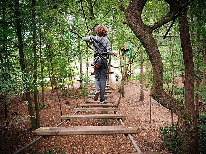 Accrobranche Etape en Forêt St Sever Calvados(TIS)