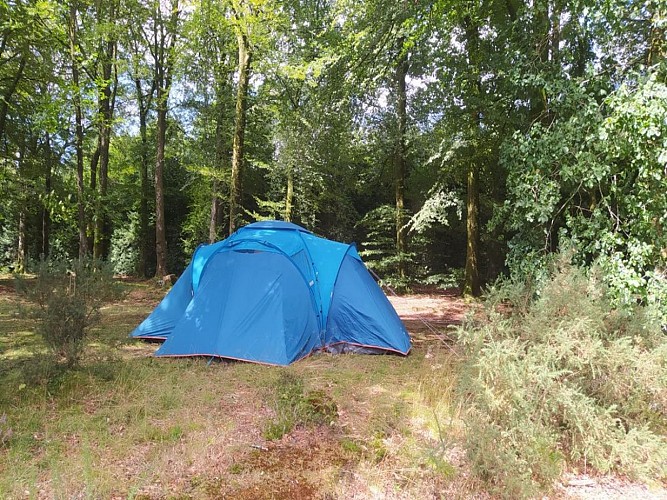 Camping Etape en foret St Sever Calvados (TIS) (3)