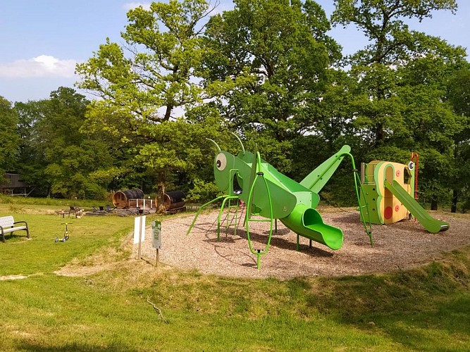 Aire de jeux Etape en foret St Sever Calvados (TIS)