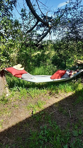 20240511_105113-scaled