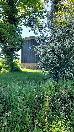 20240511_113746-scaled