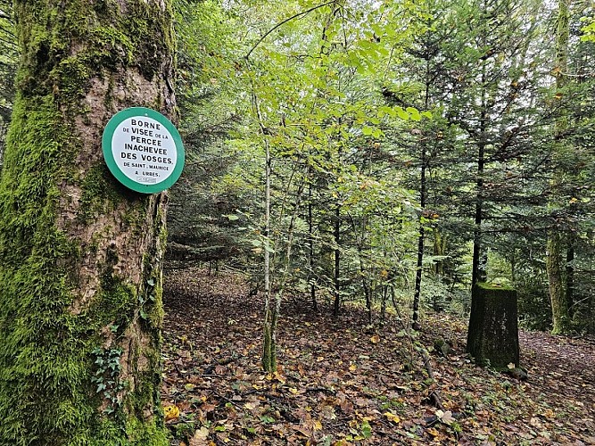 Sighting post for the unfinished Saint-Maurice-Sur-Moselle tunnel