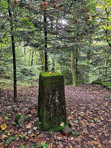 Sighting post for the unfinished Saint-Maurice-Sur-Moselle tunnel