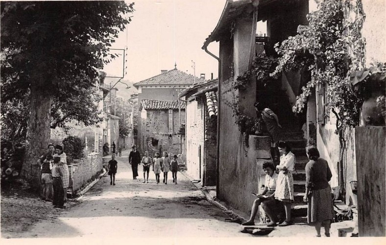 En attendant les transhumants