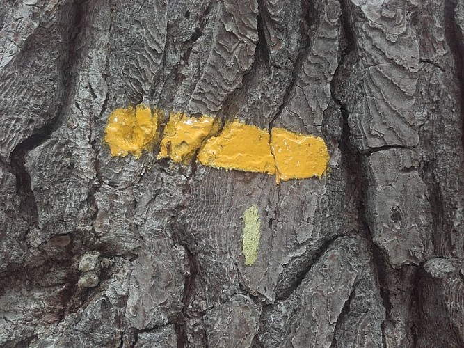 Balisage du sentier PR