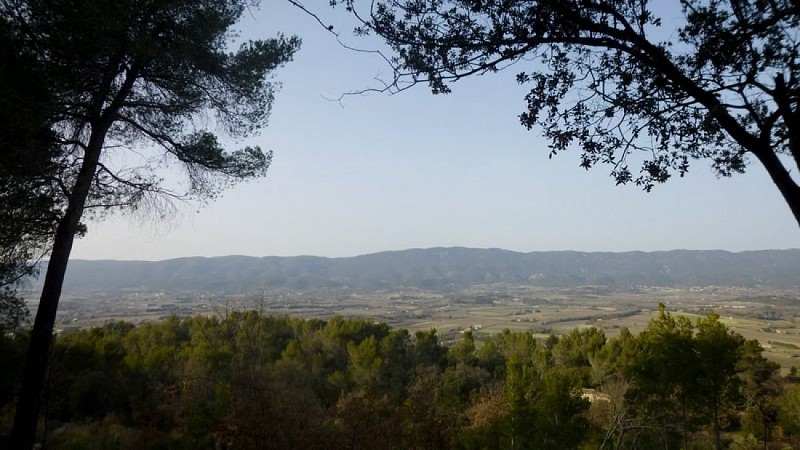 Relief mamelonné du Grand Luberon