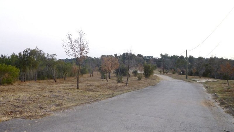 Bords de piste débroussaillés