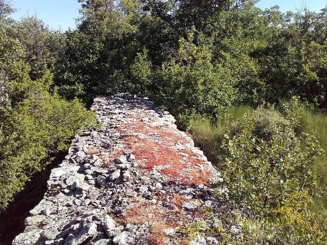 Mur en pierre sèche