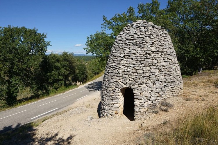 Borie monocellulaire