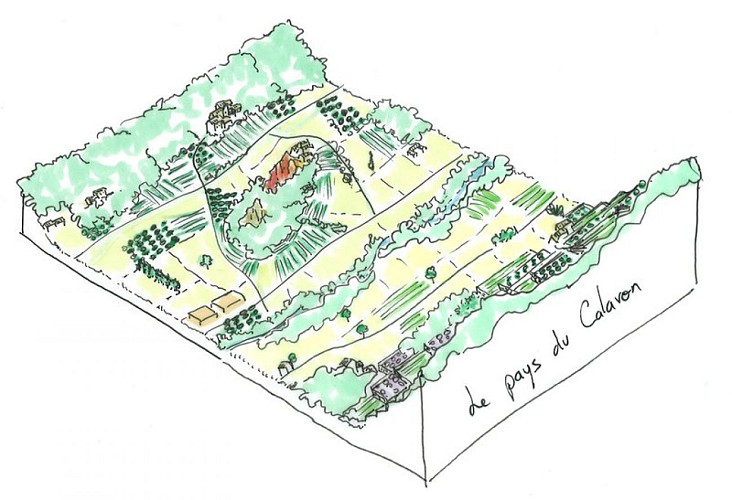 Unité paysagère du pays du Calavon