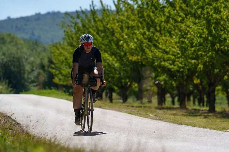 Vergers au pied de Roussillon