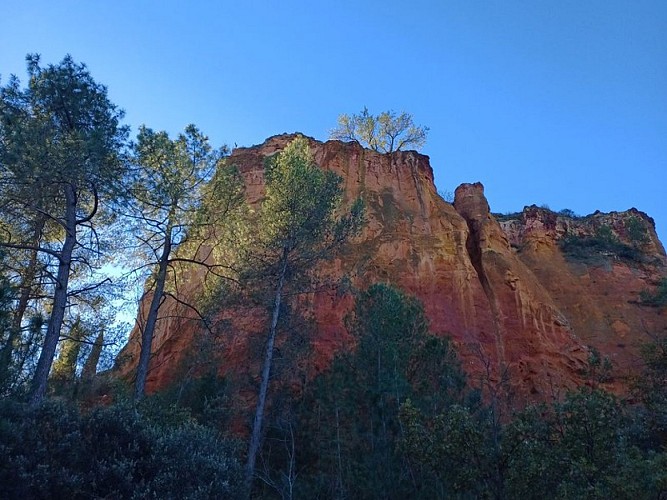 Ancien front d’exploitation de l’ocre à ciel ouvert