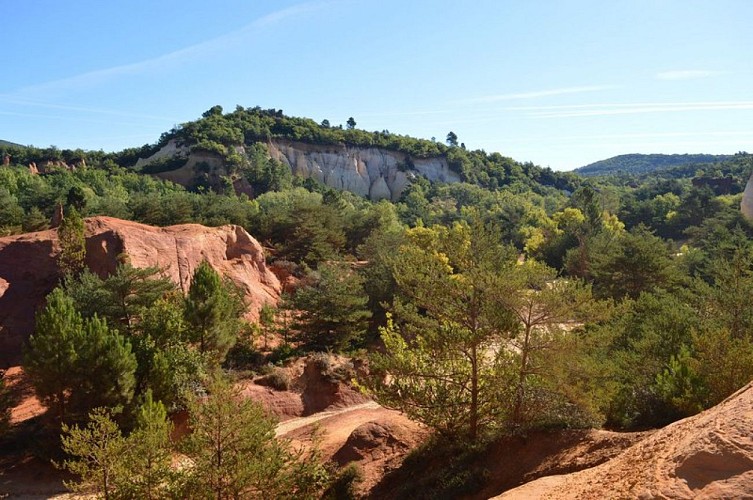 Reconquête des ocres par la végétation