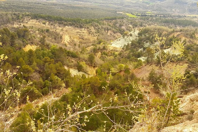 Sables verts du ravin de l'Argentière à Viens