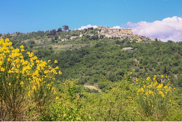 Vue sur Saint-Martin-de-Castillon