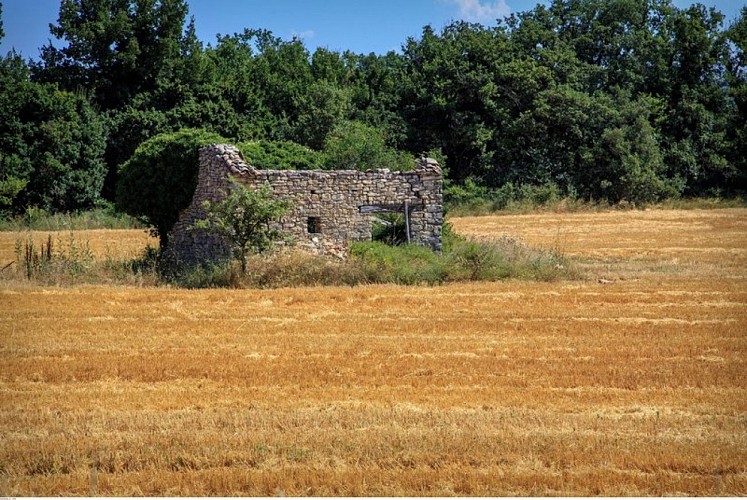 Vue sur le plateau de Caseneuve