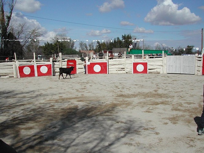 Arènes de Gimeaux 