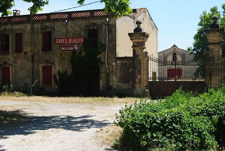 Anciennes caves de Bühler