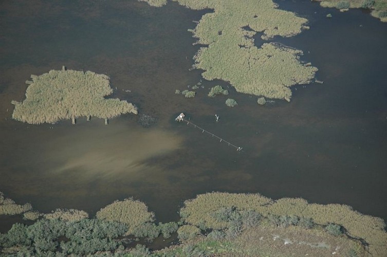 Glacières de la Tour du Valat