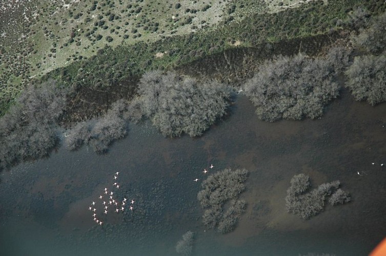 Réserve naturelle régionale de la Tour du Valat