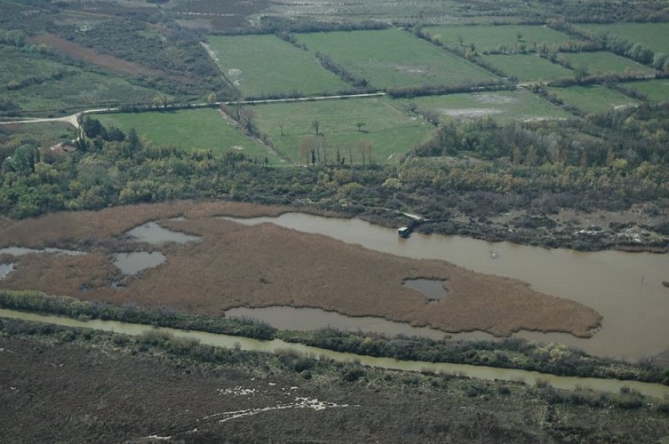 Réserve naturelle régionale de la Tour du Valat