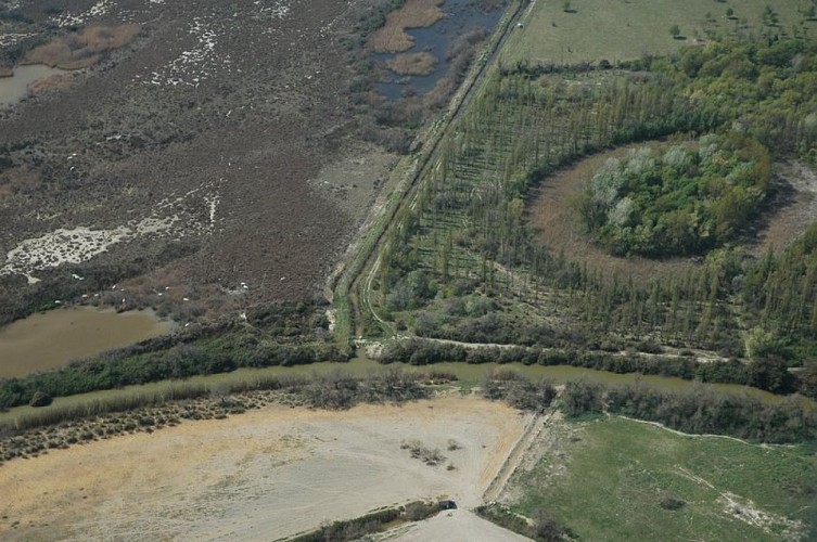 Réserve naturelle régionale de la Tour du Valat