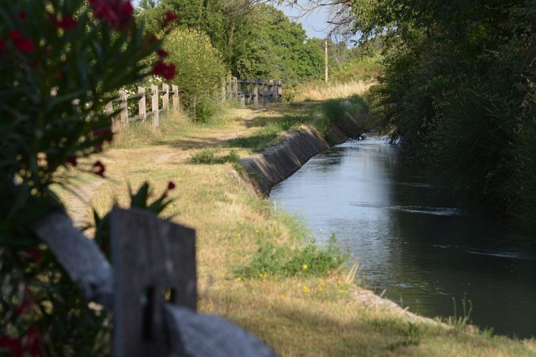 Canal de Carpentras
