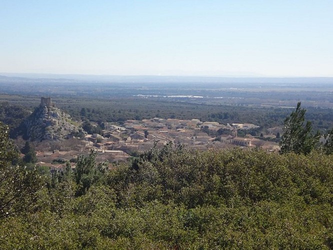 Vue du village d'Aureille depuis la Vallongue