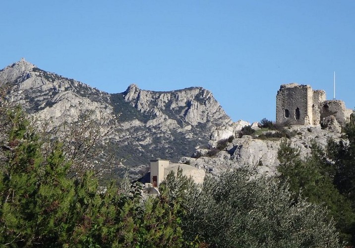 Vue du village d'Aureille
