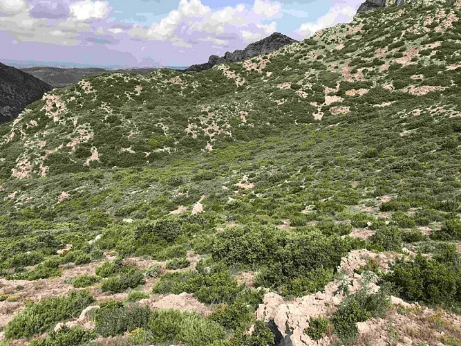 Milieux ouverts en colline
