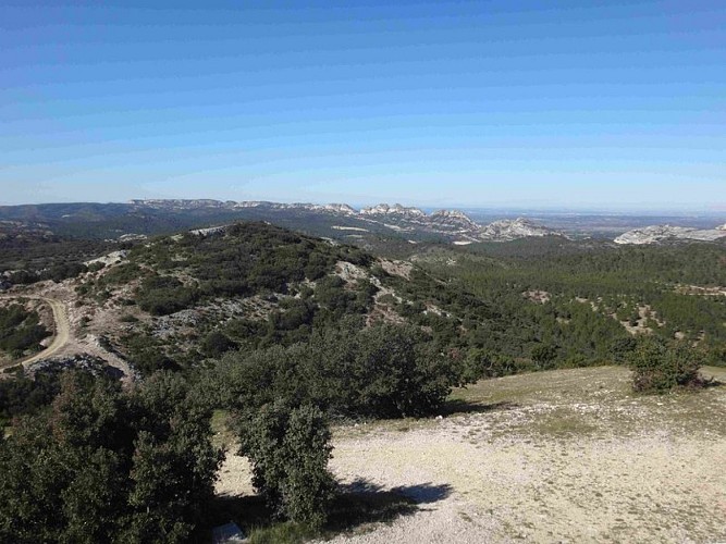 Vue sur la Caume depuis la Vallongue