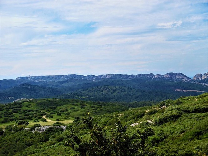 Vue sur la Caume et la crête des Alpilles