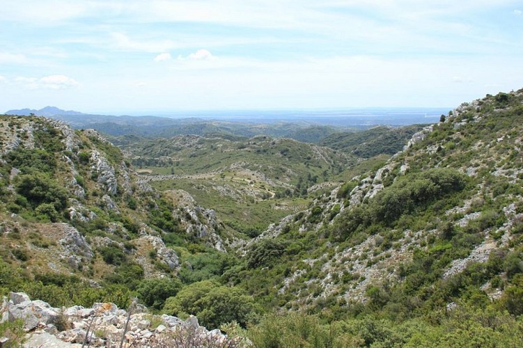 Paysages de garrigues