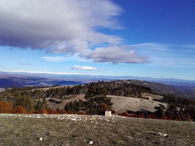 Vue vers l'est depuis le Mourre Nègre