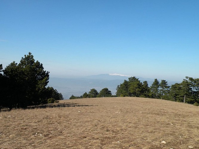 Vue vers le nord-ouest depuis le Mourre Nègre