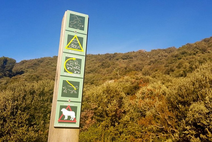 Signalétique zone de pâturage