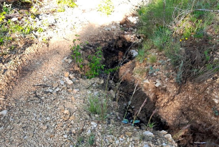 Sentier du Vallon de Roumi