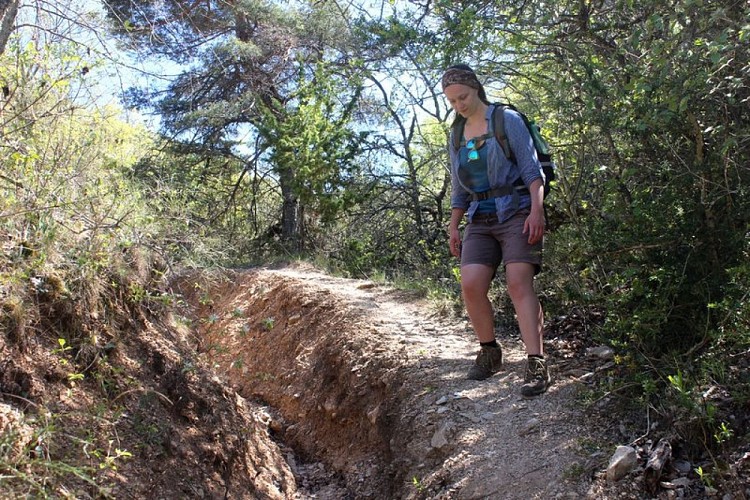Sentier du Vallon de Roumi