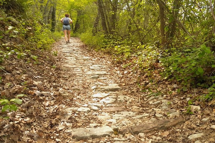 Calade de Saint-Pierre