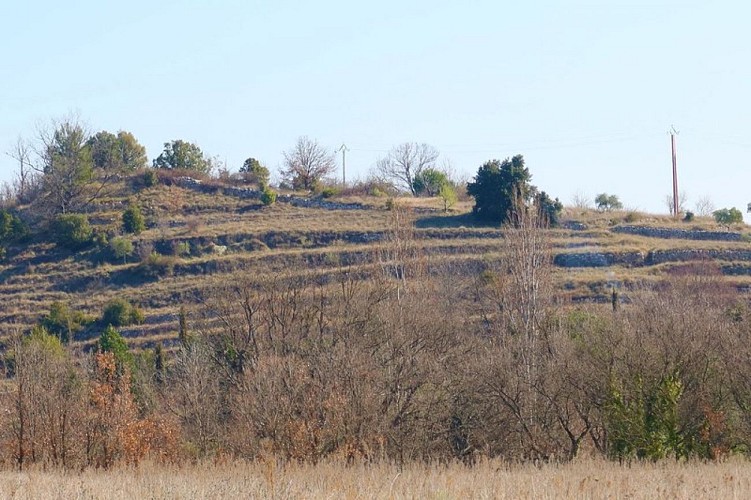 Zoom sur les terrasses de cultures