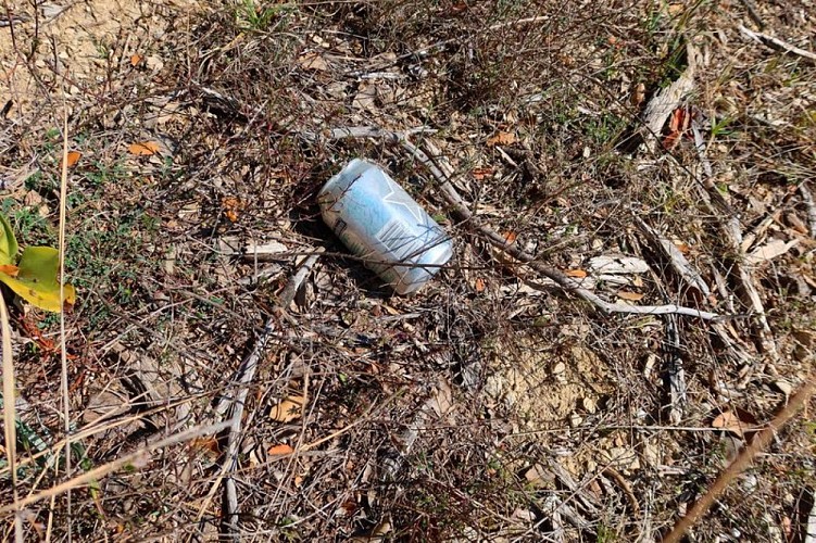 Canette laissée dans la nature : 10 à 100 ans de décomposition