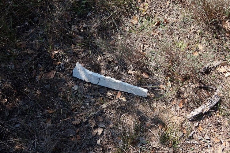 Déchet polystyrène : 1000 ans de décomposition