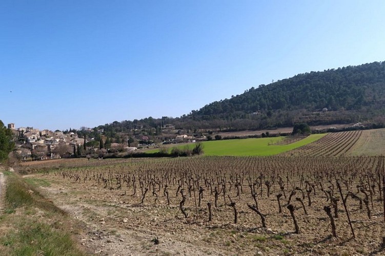 Vue sur les cultures et le village de Beaumont-de-Pertuis