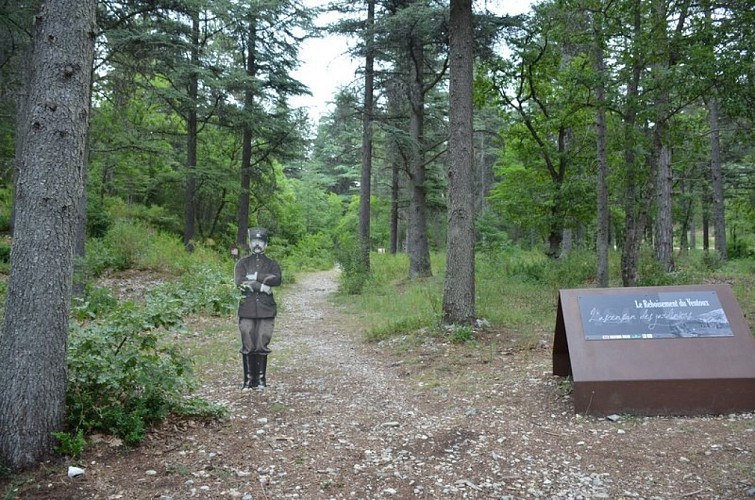 Brigadier sur le sentier de reboisement du Ventoux