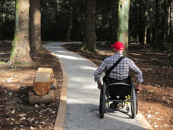 Chemin des cèdres, accessible à tous