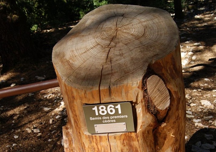 Borne d'interprétation (relief et braille)