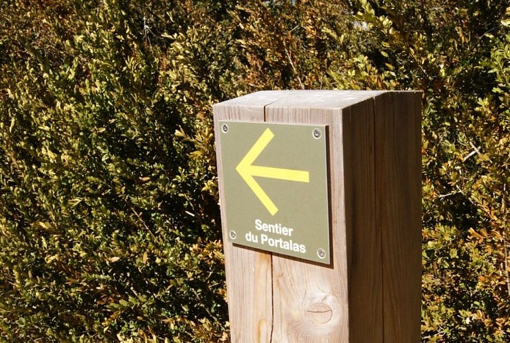 Flèche directionnelle