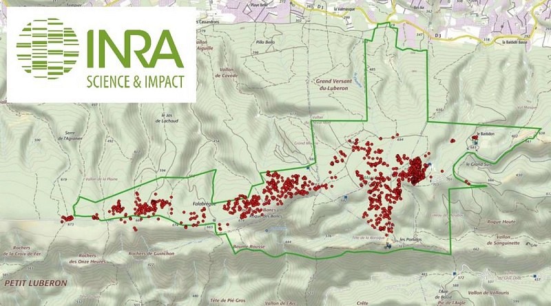 Localisation des Cèdres fondateurs survivants